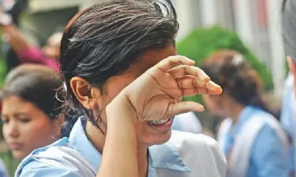 এইচএসসি ও সমমানের ফল প্রকাশ ২৯৩ প্রতিষ্ঠানে পাস করেননি কেউ